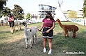 VBS_8132 - Inaugurazione 72.ma Fiera del Peperone di Carmagnola